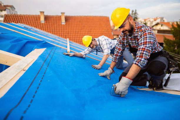 Roof Gutter Cleaning in Woodsville, NH